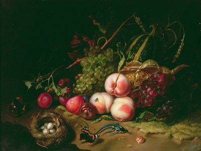 Naturaleza muerta con frutas de Rachel Ruysch